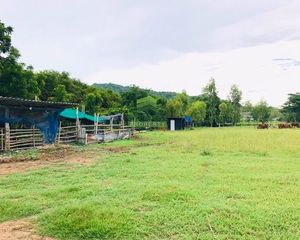 For Sale Land 13,300 sqm in Mueang Chai Nat, Chainat, Thailand