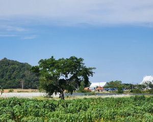 For Sale Land 26,496 sqm in Bang Lamung, Chonburi, Thailand