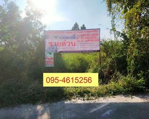 For Sale Land 560 sqm in Wang Noi, Phra Nakhon Si Ayutthaya, Thailand