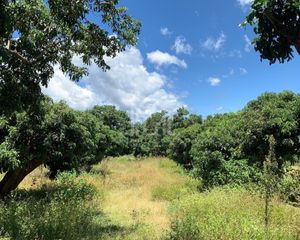For Sale Land 6,400 sqm in Mueang Lamphun, Lamphun, Thailand