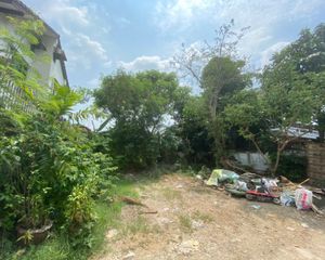 For Sale Land 244 sqm in Bang Bua Thong, Nonthaburi, Thailand