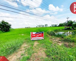 For Sale Land 8,396 sqm in Kamalasai, Kalasin, Thailand