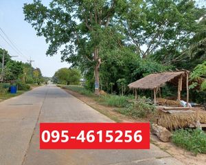 For Sale Land 3,200 sqm in Nong Wua So, Udon Thani, Thailand