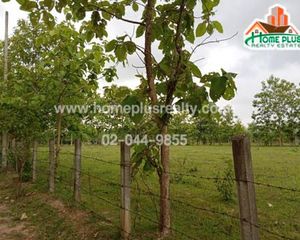 For Sale Land 3,112 sqm in Hang Chat, Lampang, Thailand