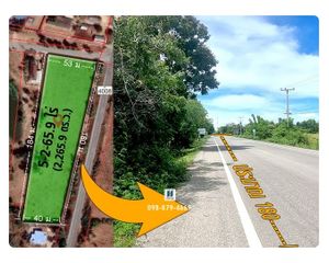For Sale Land 9,064 sqm in Sam Roi Yot, Prachuap Khiri Khan, Thailand