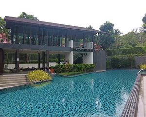 For Sale or Rent Condo 30 sqm in Mueang Chiang Mai, Chiang Mai, Thailand