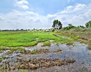 For Sale Land 61,712 sqm in Bang Sai, Phra Nakhon Si Ayutthaya, Thailand