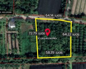 For Sale Land 4,000 sqm in Sam Phran, Nakhon Pathom, Thailand