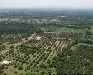 For Sale Land in Pa Sang, Lamphun, Thailand