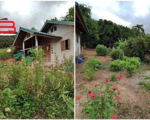 For Sale 2 Beds Townhouse in Thoeng, Chiang Rai, Thailand