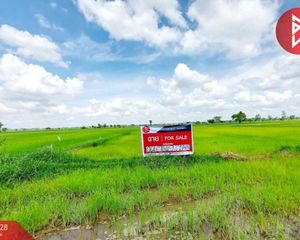 For Sale Land 4,412 sqm in Changhan, Roi Et, Thailand
