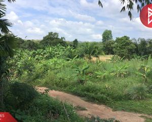 For Sale Land 42,216 sqm in Mueang Loei, Loei, Thailand