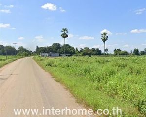 For Sale Land in Nong Muang, Lopburi, Thailand