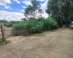 For Sale Land 8,860 sqm in Mueang Lamphun, Lamphun, Thailand
