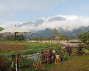 For Sale Land 972 sqm in Mae Sai, Chiang Rai, Thailand