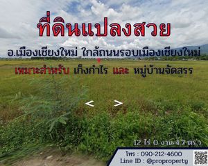 For Sale Land 19,218.8 sqm in Mae Rim, Chiang Mai, Thailand