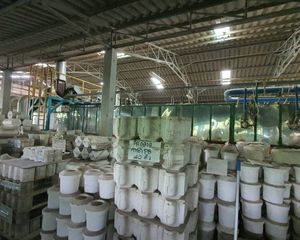 For Sale Warehouse 6,600 sqm in Phak Hai, Phra Nakhon Si Ayutthaya, Thailand