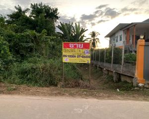 For Sale Land 787.6 sqm in Phu Phiang, Nan, Thailand