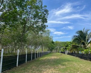 For Sale Land 16,170 sqm in Thai Mueang, Phang Nga, Thailand