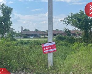 For Sale Land 832 sqm in Mueang Lamphun, Lamphun, Thailand