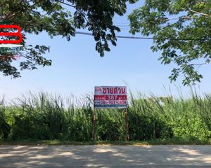 For Sale Land 1,548 sqm in Prawet, Bangkok, Thailand