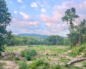 For Sale Land 3,120 sqm in Takua Pa, Phang Nga, Thailand