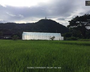 For Sale Land 7,104 sqm in Hang Dong, Chiang Mai, Thailand