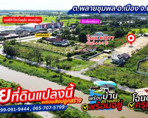 For Sale Land 6,430 sqm in Mueang Phitsanulok, Phitsanulok, Thailand