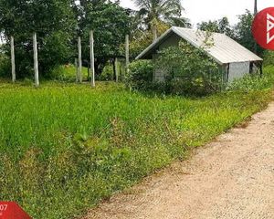 For Sale Land 3,208 sqm in Sawang Daen Din, Sakon Nakhon, Thailand