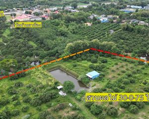 For Sale Land 48,000 sqm in Soi Dao, Chanthaburi, Thailand