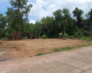For Sale Land 350 sqm in Mueang Rayong, Rayong, Thailand