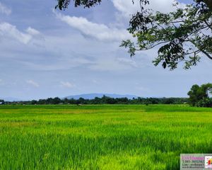 For Sale Land 136,800 sqm in Chae Hom, Lampang, Thailand