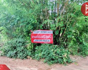 For Sale Land 32,832 sqm in Pa Tio, Yasothon, Thailand
