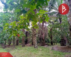 For Sale Land 21,020 sqm in Mueang Chumphon, Chumphon, Thailand