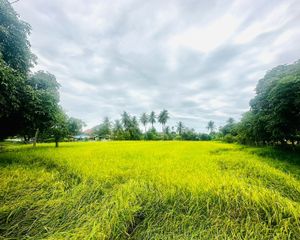 For Sale Land 2,796 sqm in Si Prachan, Suphan Buri, Thailand