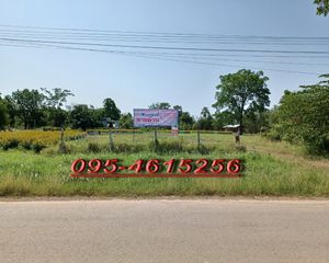 For Sale Land in Mueang Chaiyaphum, Chaiyaphum, Thailand