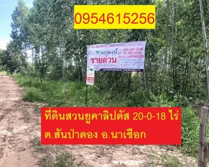 For Sale Land 32,072 sqm in Na Chueak, Maha Sarakham, Thailand