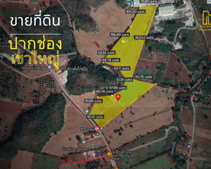 For Sale Land 61,856 sqm in Pak Chong, Nakhon Ratchasima, Thailand