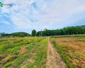 For Sale Land 31,444 sqm in Thoeng, Chiang Rai, Thailand