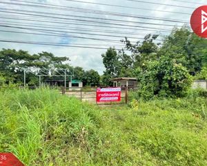 For Sale Land 3,200 sqm in Pa Tio, Yasothon, Thailand