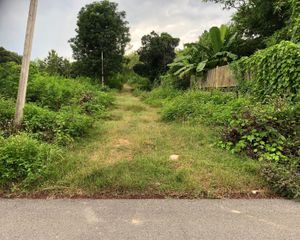 For Sale Land 1,200 sqm in Wiang Sa, Nan, Thailand