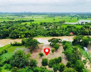 For Sale Land 4,000 sqm in Doem Bang Nang Buat, Suphan Buri, Thailand