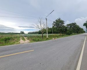 For Sale Land 19,200 sqm in Nikhom Phatthana, Rayong, Thailand