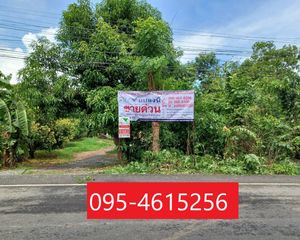 For Sale Land 8,200 sqm in Pho Thale, Phichit, Thailand