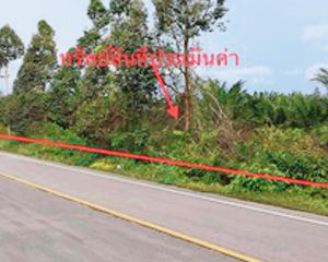 For Sale Land 7,548 sqm in Mueang Trang, Trang, Thailand