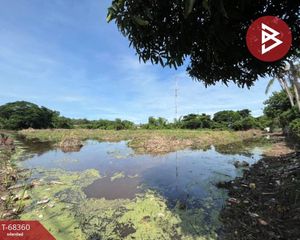 For Sale Land 6,336 sqm in Phrom Buri, Sing Buri, Thailand