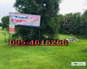 For Sale Land 972 sqm in Nong Don, Saraburi, Thailand