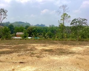 For Sale Land 2,942 sqm in Takua Thung, Phang Nga, Thailand