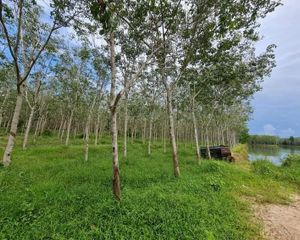 For Sale Land 28,608 sqm in Pa Phayom, Phatthalung, Thailand