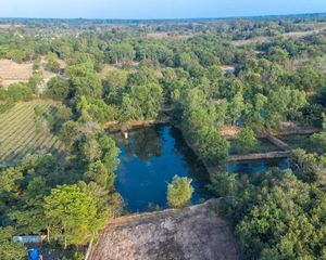 For Sale Land 3,640 sqm in Mueang Ubon Ratchathani, Ubon Ratchathani, Thailand